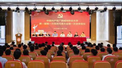 中国共产党宝威手机网页版登录入口,宝威(中国)委员会第一届第一次党员代表大会胜利召开